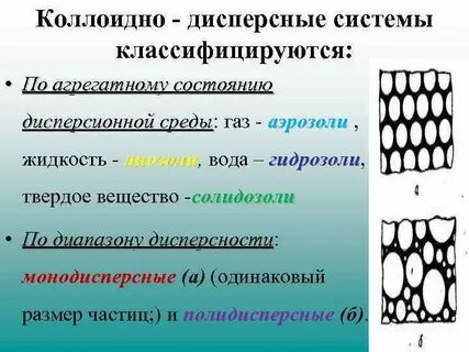 Дисперсная система с газообразной дисперсионной средой