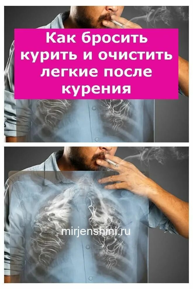 Очистить легкие после курения. Очистить лёгкие после курения. Бросил курить как очистить