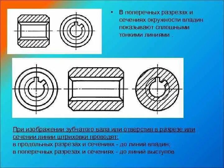 Продольное и поперечное сечение. Продольное сечение. Поперечное сечение и продольное сечение. Продольный и поперечный разрез. Форма сечения круга