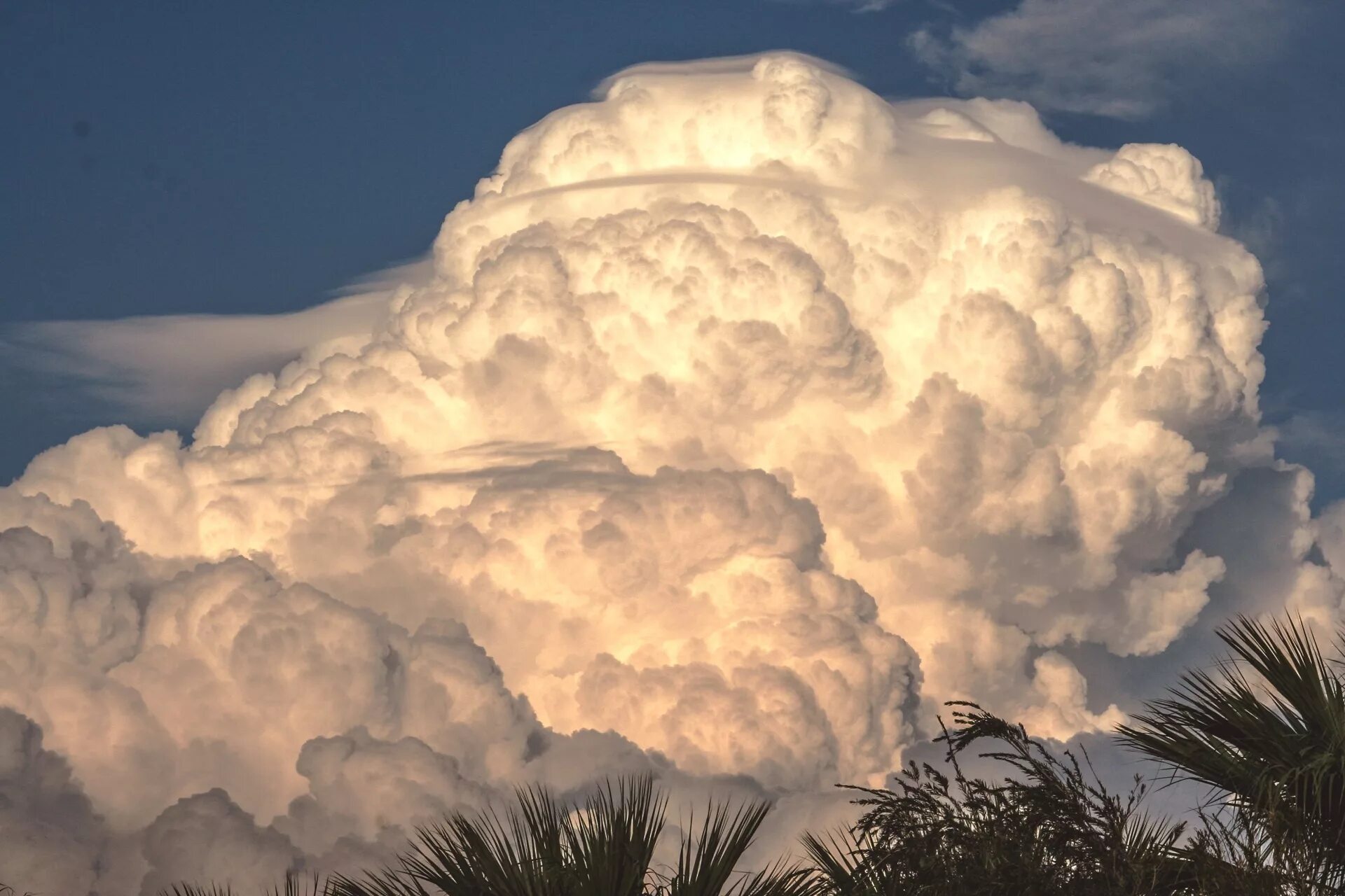 Кучевые дождевые облака cumulonimbus. Кумулус Нимбус. Кумулонимбус грозовые. Кумулонимбус тучи.