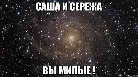 Когда будет день саши