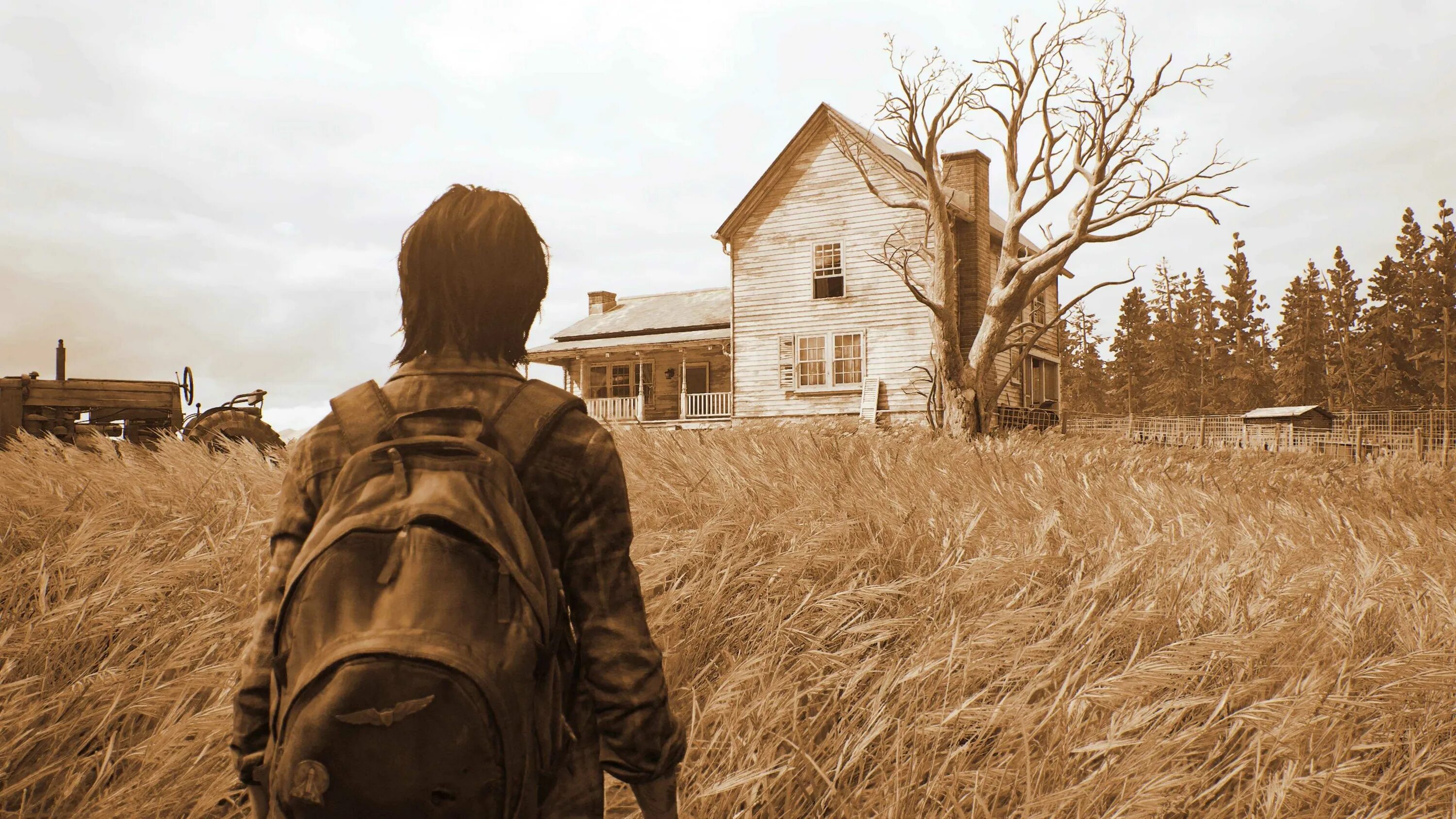 The has the last word. The last of us 2.