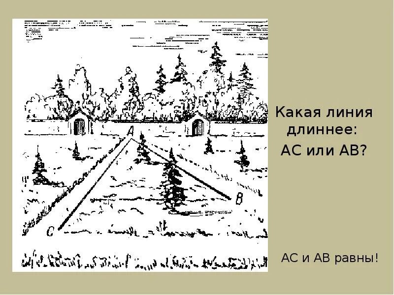 Ас линии. Почему линия ав кажется короче линии ас. какая линия длиннее. линии короче длиннее кажутся.