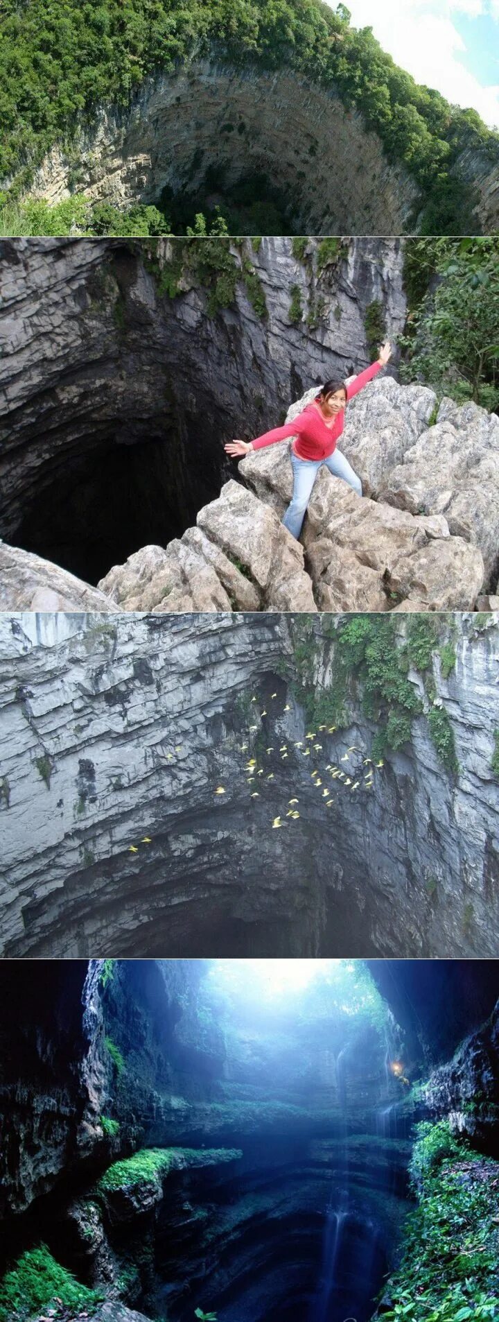 пещера эса ала схема. пещера эса ала. сан луис потоси пещера ласточек. пещера эса ала. пещера эса ала папуа новая гвинея.