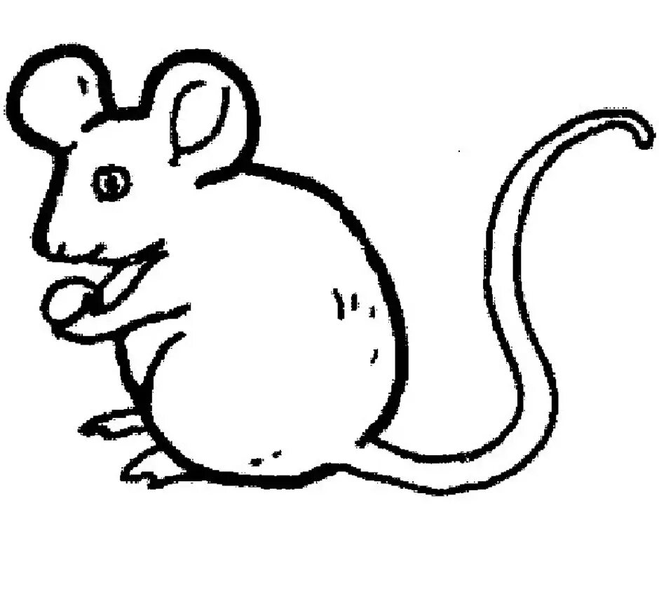 Раскраска мышка. Мышь раскраска для детей. Мышка для раскрашивания детям. Мышка рисунок. Раскраска мышь распечатать