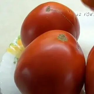 Томаты говядина с куста описание сорта