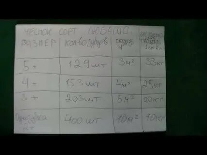 Сколько чеснока надо на сотку
