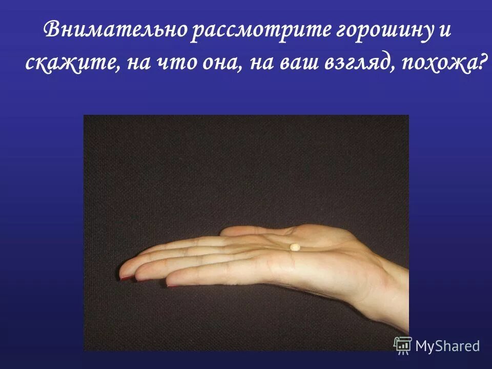 выбор посредника. тщательно ознакомиться. системы выбора посредников. анамнез это кратко. тщательно ознакомиться.