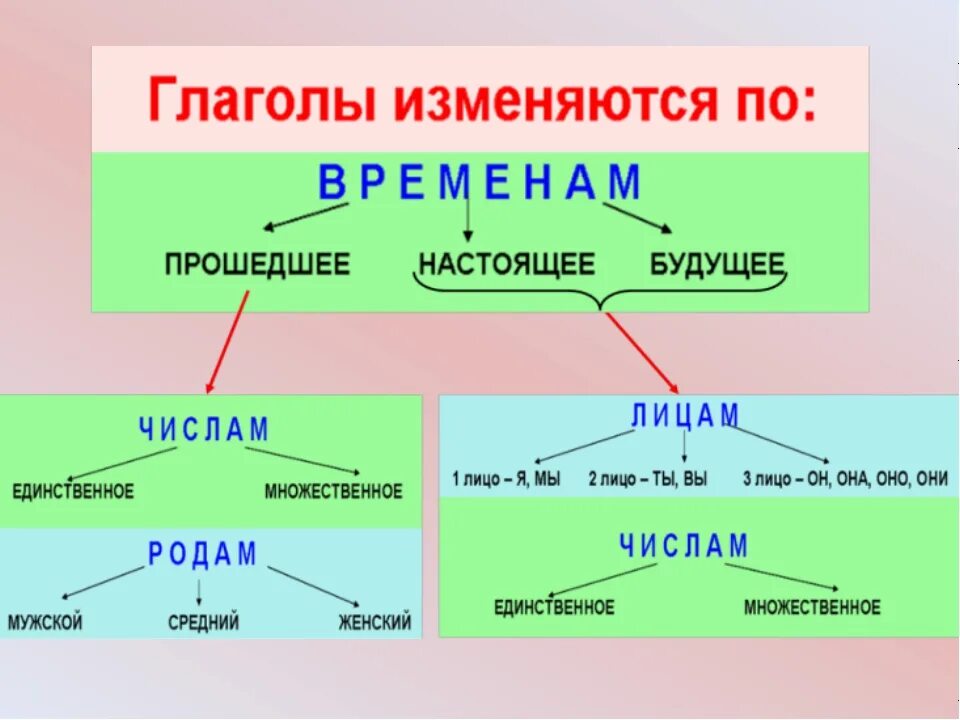 Прийти какое время. Как изменяются глаголы в прошедшем времени. Как изменяются глаголы 3 класс. В прошедшем времени глагол изменяется по числам и родам. Как изменяются глаголы в русском языке.
