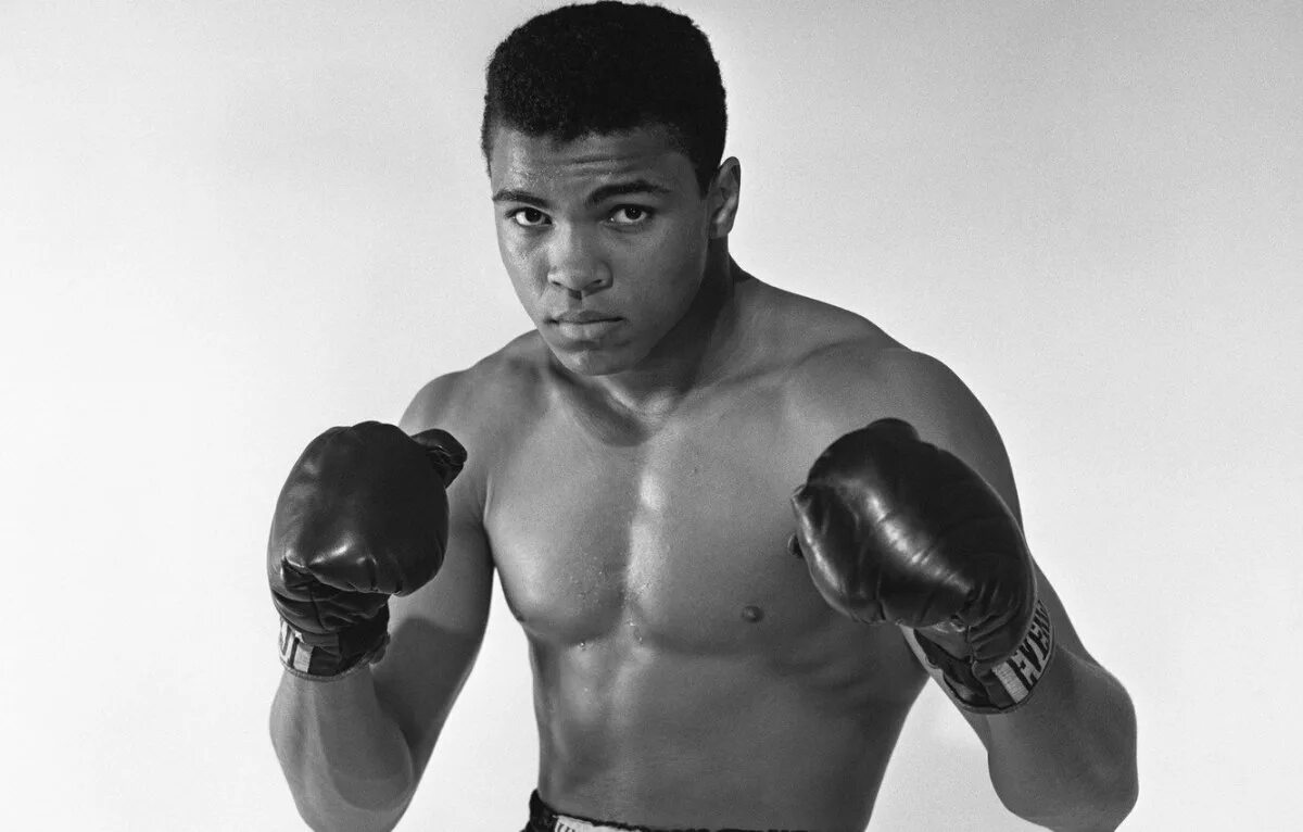 Dong ali. Dong ali