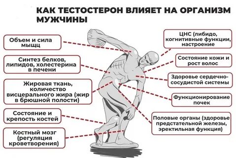 Тестостерон общий это