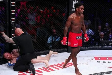 Pfl bellator турнир