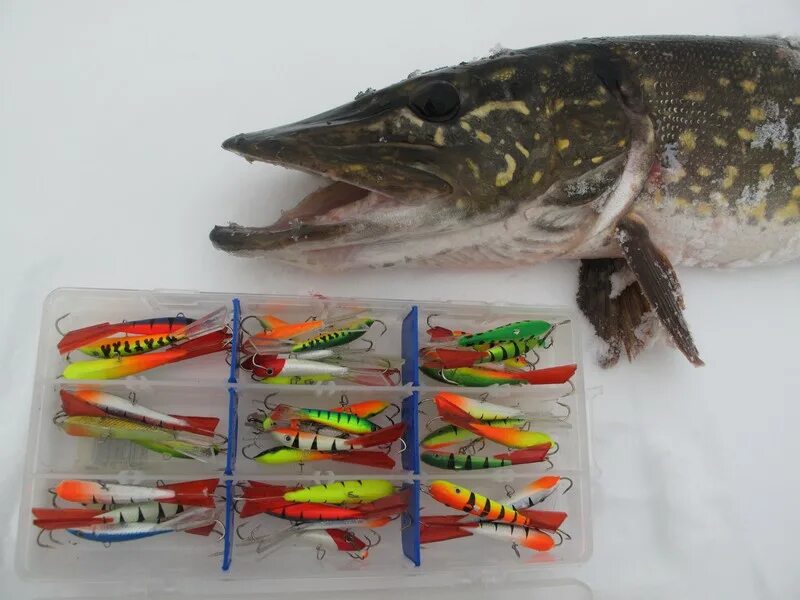 Балансиры рапала расцветки на судака. Балансир kuusamo tasapaino 75mm rb/bl/fye/fr. Балансиры на судака. Балансиры лаки джон на окуня. Окуневые балансиры.