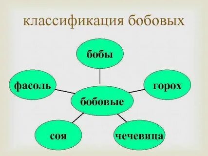 Классификация семейства