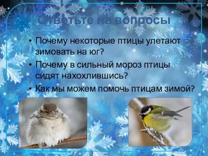 Почему некоторые птицы