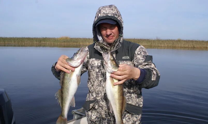 Рыбинское водохранилище рыбалка. Рыбалка на Рыбинском водохранилище. Рыбинская рыбалка. Рыбинское водохранилище рыба.