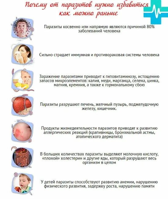 Признаки наличия паразитов в организме человека. Паразиты в организме симптомы. Паразит признаки паразита. Паразиты в организме человека какие симптомы. Симптомы наличия паразитов в организме человека.