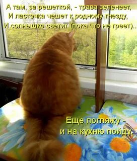 Солнце грело трава оживая росла и зеленела