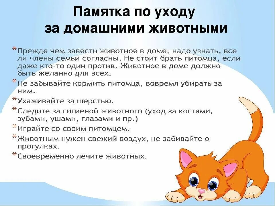 Виды работы по уходу за домашними животными. Правила ухода за животными. памятка по уходу за животными. как ухаживать за домашними животными. gfvznrf gj e[f;bdfyb. pf ljvfiybvb ;bdjnysvb.