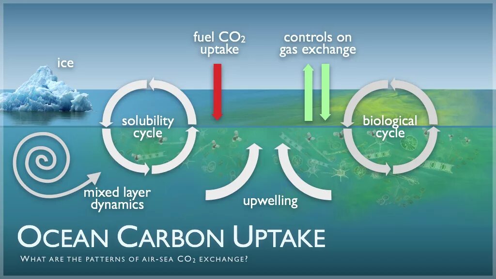 Co2 запах газа