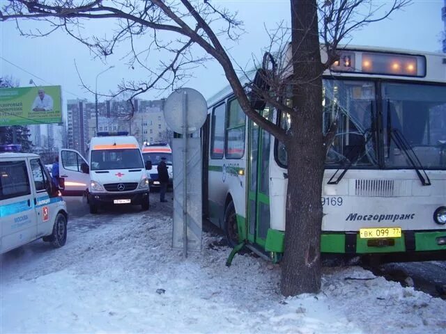 Номер автобуса зеленоград. 377 Автобус Зеленоград. Автобусы Зеленоград. 37 Автобус Зеленоградская. 497 Автобус Зеленоград.