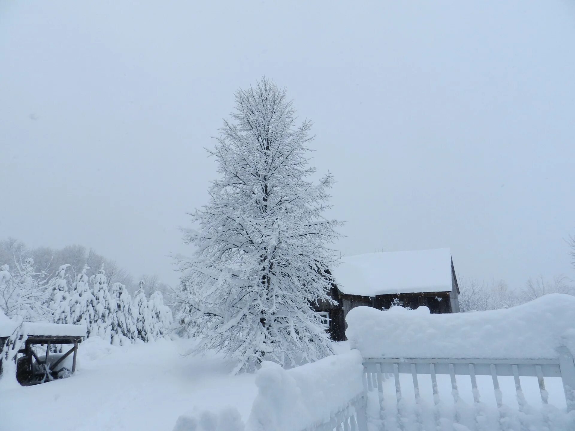 Снег 5 декабря. Снег в декабре. Зима в странах. Winter Country. December Snow.