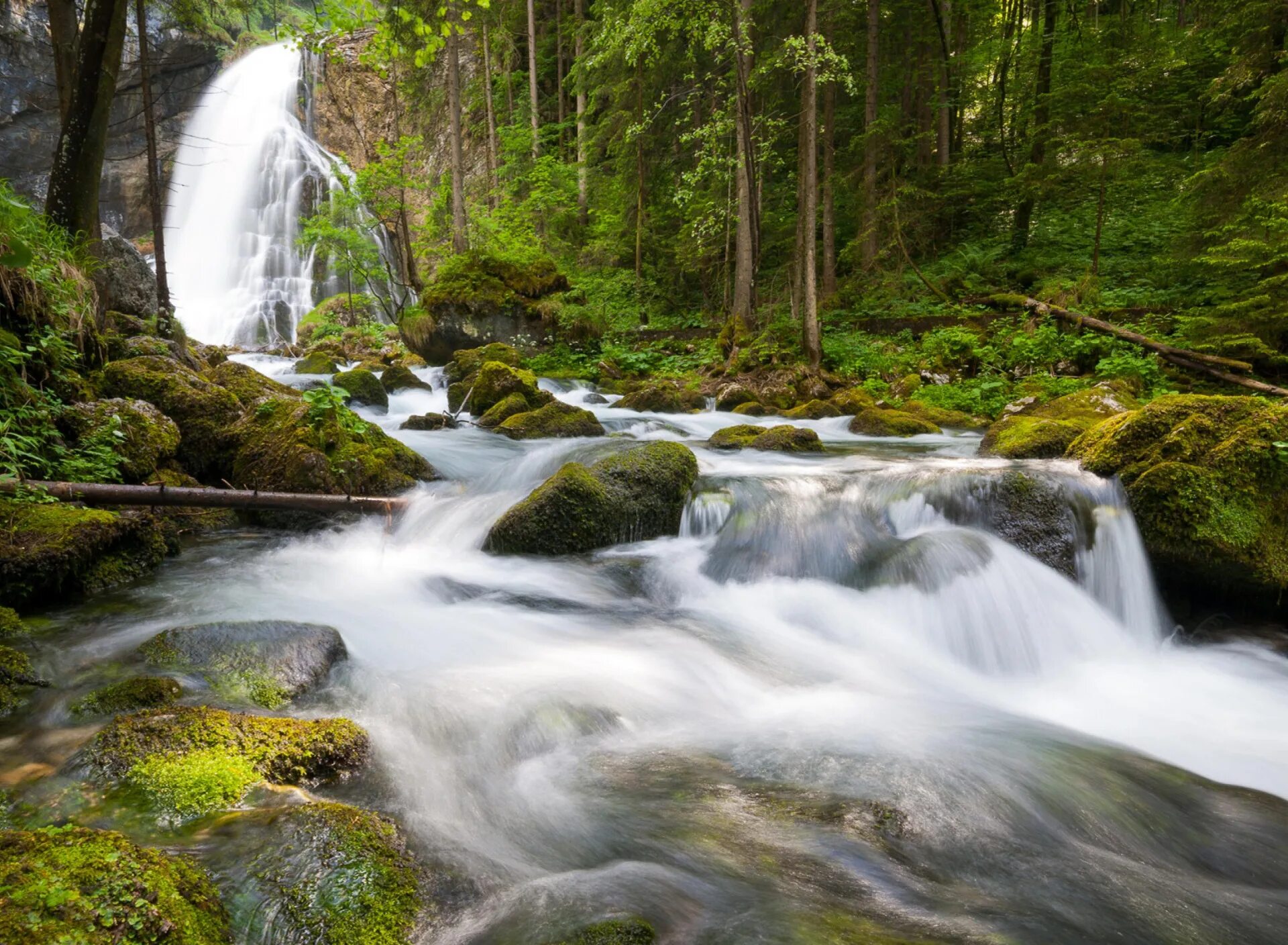 Шварцвальд водопады. Долина водопадов Карелия. Лесной водопад. Живая природа водопады. Видео со звуками природы