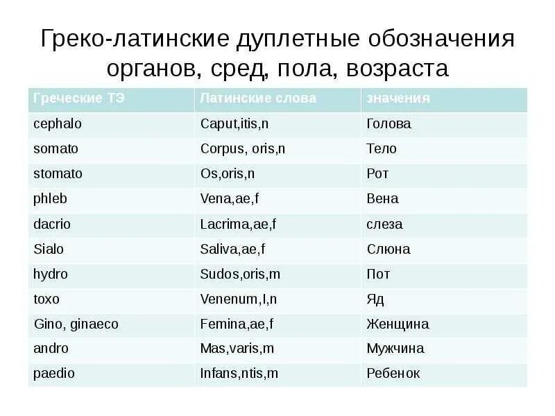 Вето род. Термины элементы в латинском языке. Греко-латинские дублеты обозначающие части тела органы ткани. Греко латинские дублеты. Основные понятия на латыни.