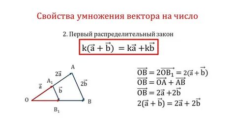 Вектор а умножить на вектор а равно