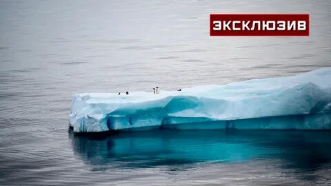 Антарктиду окружают шельфовые плавающие ледники