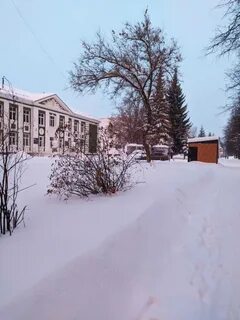 Погода в глазове в ноябре