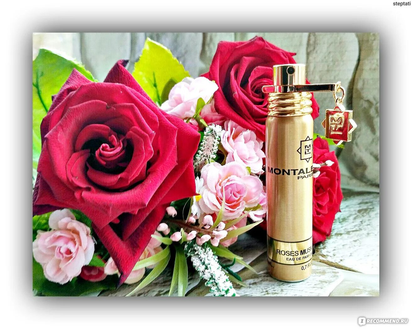 Montale rose отзывы. Roses Musk Montale красивое. Montale Roses Musk масляные духи ОАЭ. Montale Roses Musk красивое описание аромата.