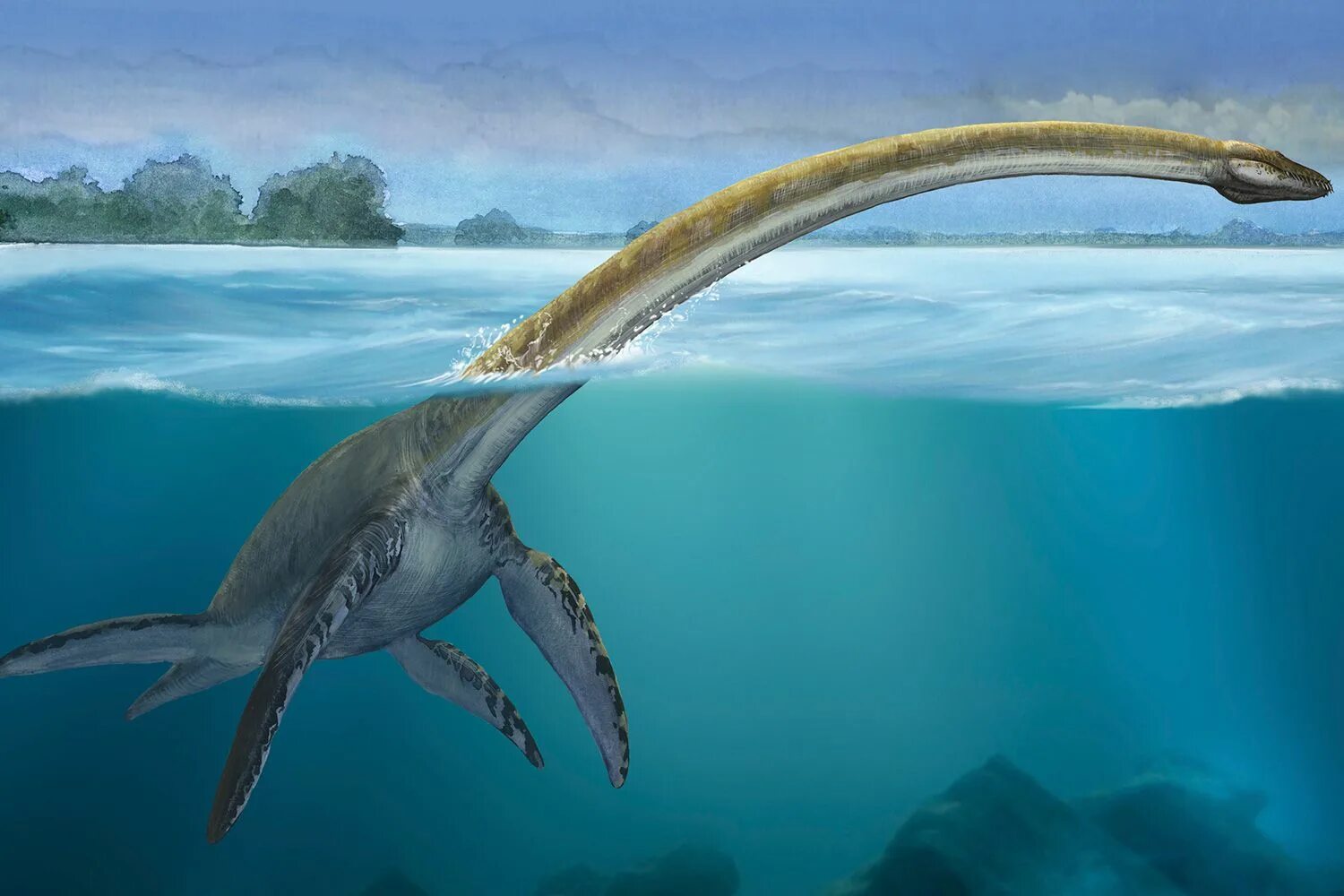 Динозавр жил в воде. Эласмозавр и Плезиозавр. Динозавры морские Плезиозавр. Эласмозавр Лохнесское чудовище. Динозавры морские Эласмозавр.