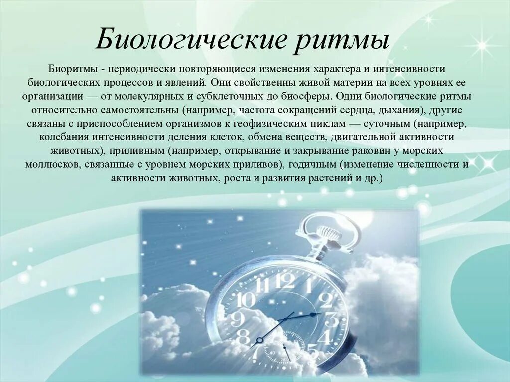 Биологические ритмы. Суточные ритмы человека примеры. Биоритмы человека презентация. Биологические ритмы. Биологические ритмы проект.