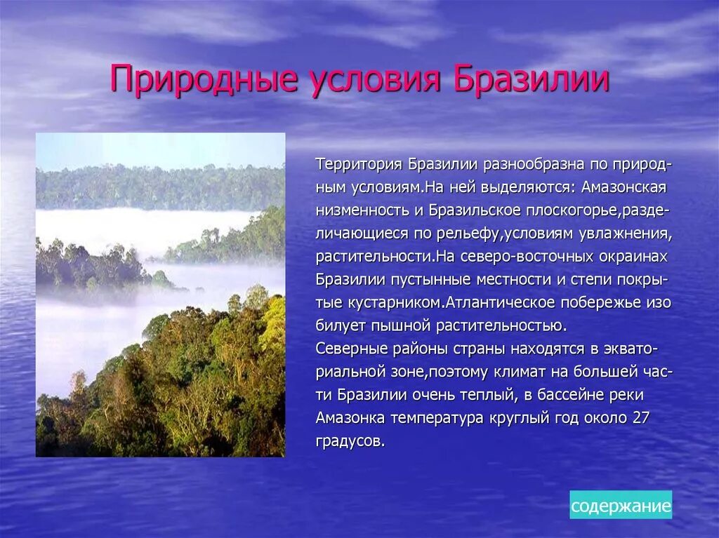 Основные особенности природных зон бразилии кратко. Природные условия Бразилии. Характеристика природы Бразилии. Природа Бразилии презентация. Характеристика природных условий Бразилии.