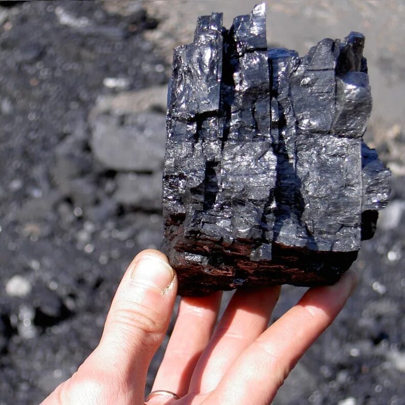 каменный уголь пласт. уголь геология пласты. полезные ископаемые каменный уголь антрацит. каменный уголь. угольный камень.