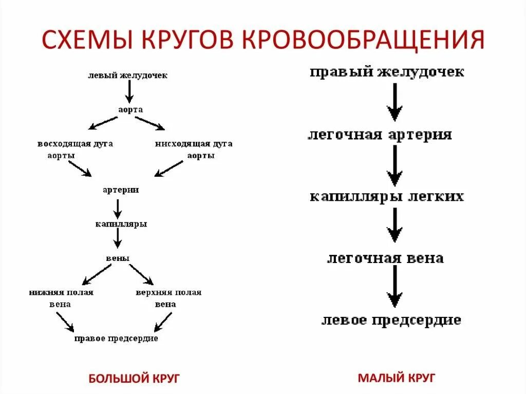 Пин на доске Колесо года Библейские уроки, Астрология, Книги