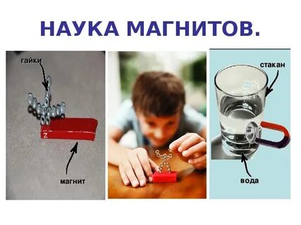 Влияние магнитна на человека