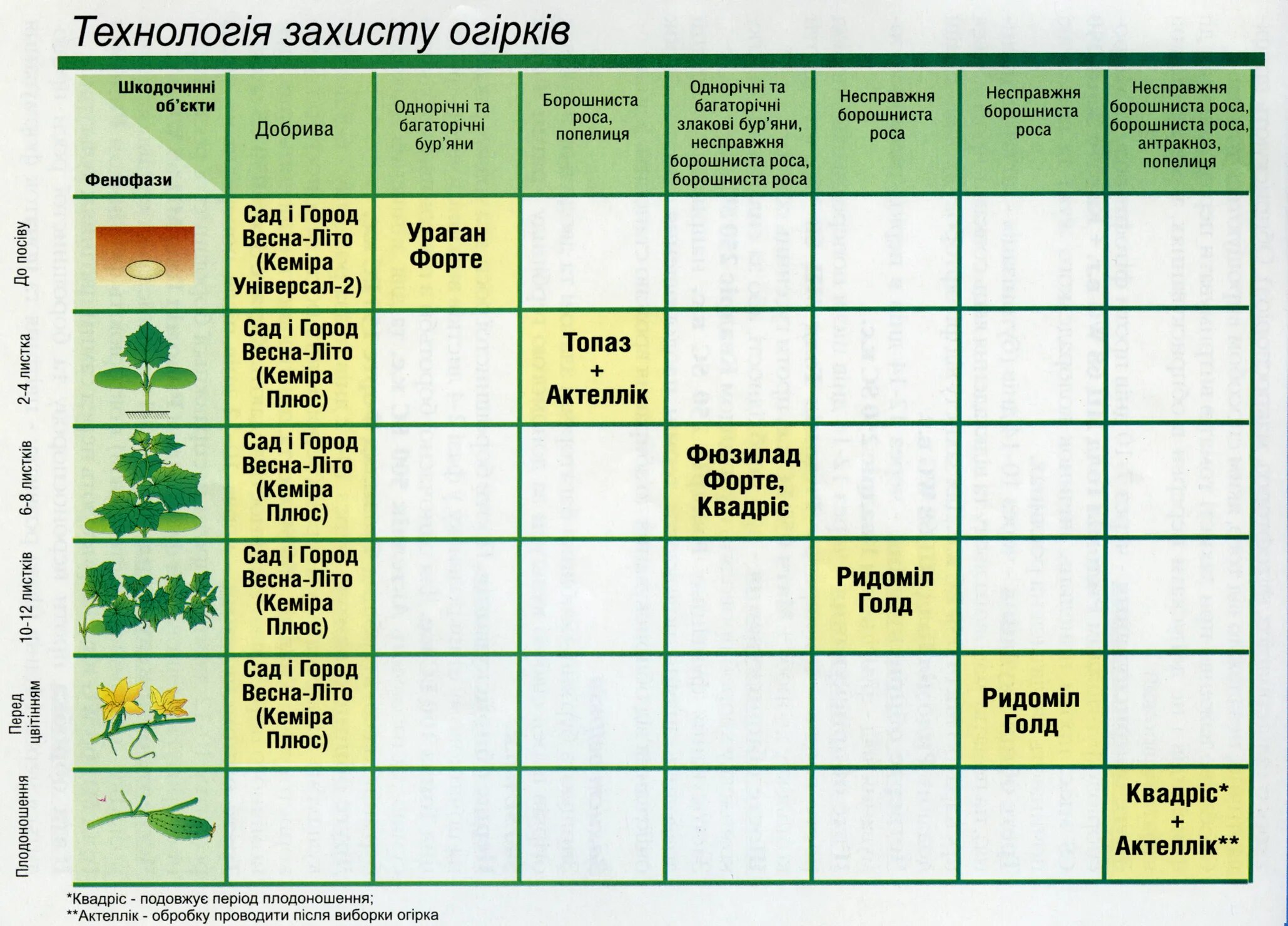 Обработка сада по розовому бутону. Таблица опрыскивания винограда весной. Весенняя обработка винограда и сада от болезней и вредителей весной. Схема обработки винограда весной. График обработки плодовых деревьев от вредителей и болезней.