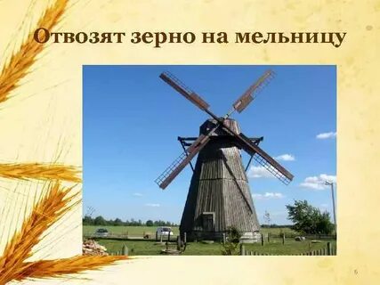 На мельницу отправили пшеницу