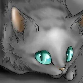 Коты воители глаза