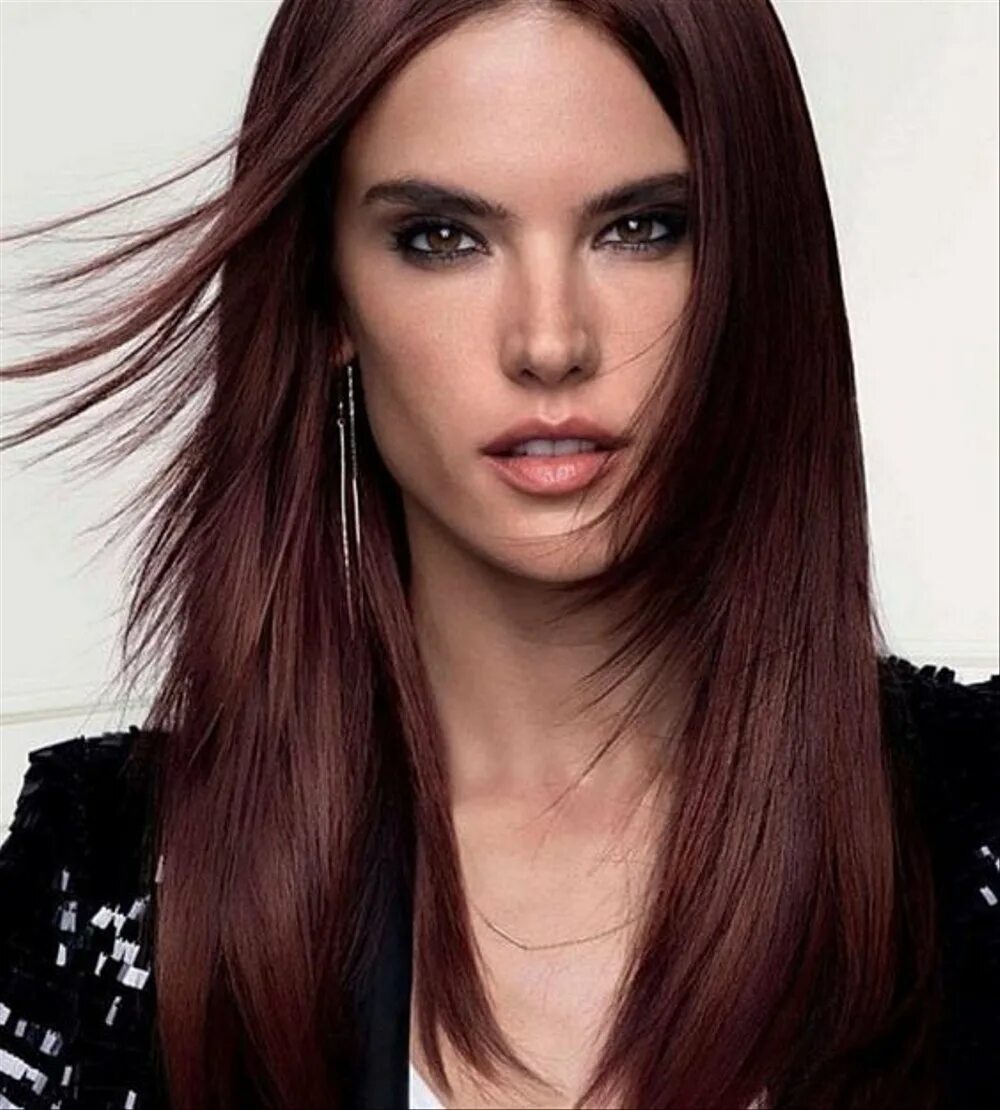 Цвет волос Dark Auburn Brown. Каштановый махагон. Красно каштановый цвет волос. Коричнево каштановый цвет волос. Коричнево каштановые волосы