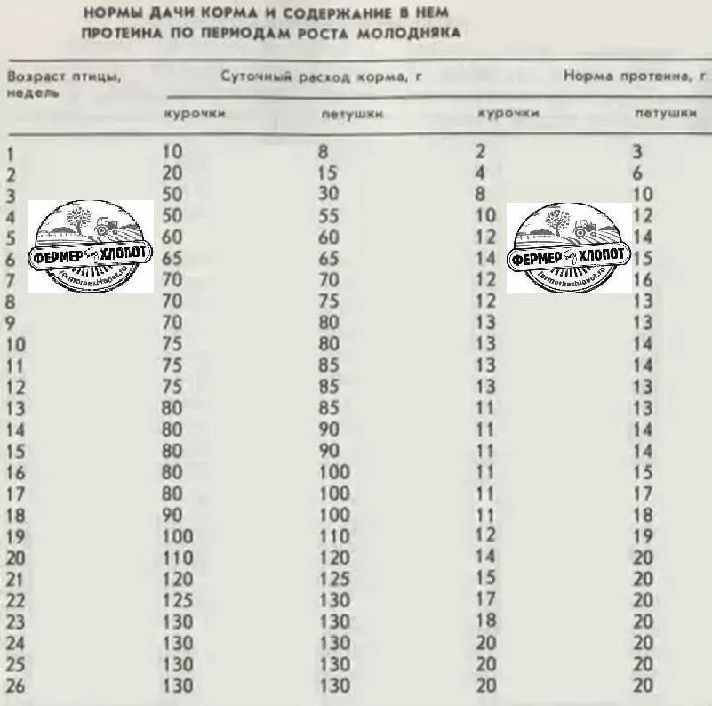 Таблица бройлера кобб 500 по дням. Таблица бройлеров Росс 308. Таблица веса бройлеров Кобб 500. Нормы кормления бройлеров Росс 308. Бройлеры Росс 308 таблица веса.