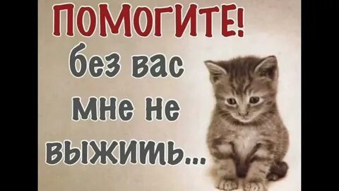 Вам необходимы и мы поможем