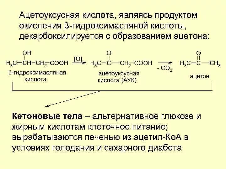 Восстановление ацетоуксусной кислоты реакция. Уравнение реакции образования ацетона из ацетоуксусной кислоты. Ацетоуксусная кислота образование in vivo. Ацетоуксусная кислота - со2.