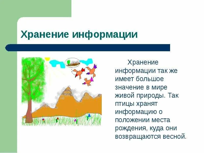 Природа информации информационный процесс