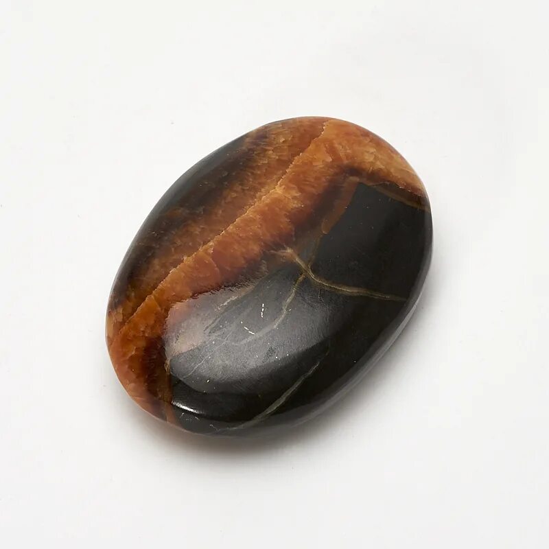 симбирцит камень магические свойства. аммонит симбирцит. симбирцит камень. симбирцит камень фото. ульяновский симбирцит камень.