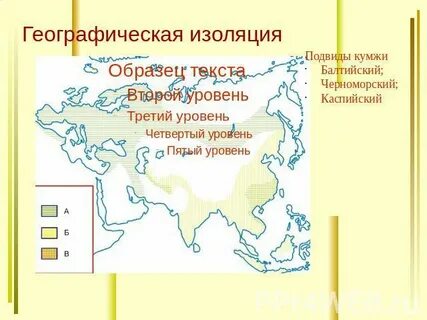 Географическая изоляция это