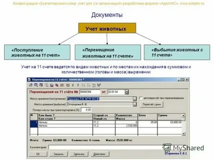 Бухгалтерия как оформлять