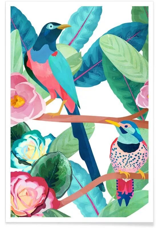 Постеры с птичками. Постер Райские птицы. Художественный плакат птица.